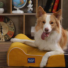 Load image into Gallery viewer, Laifug Single Pillow Waterproof Dog Bed
