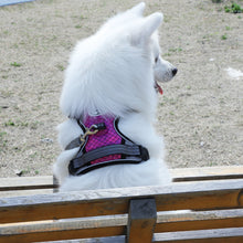 Load image into Gallery viewer, Laifug Adjustable Dog Harness For Medium And Large Dogs
